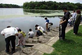 小さいお魚がいるよ！