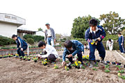 実習園での栽培の授業