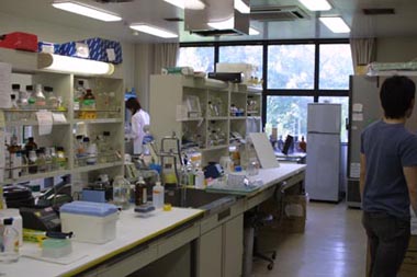 アイソトープ実験施設　内観２