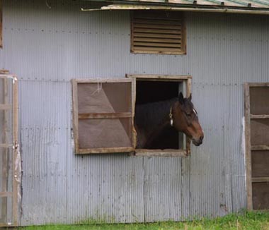 馬場　１
