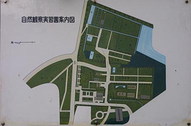 自然観察実習園　案内図