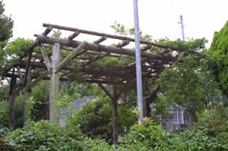 自然観察実習園　実習園散策５