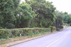 自然観察実習園　実習園散策７