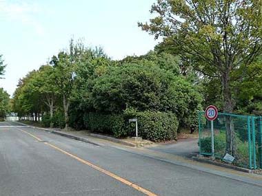 障害児教育棟に続く路地