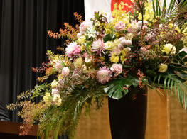(イメージ)