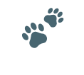 ライブラリ