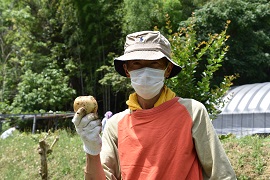 芋掘りに参加した野田敦敬学長