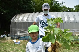 野田敦敬学長と一緒にジャガイモ掘り