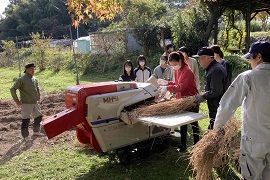 はじめての脱穀器でどきどき。