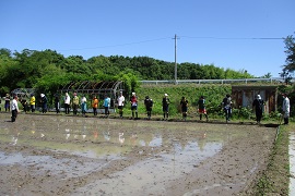 いよいよ田んぼへ