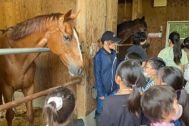 お馬さんとご対面！大きいね～。