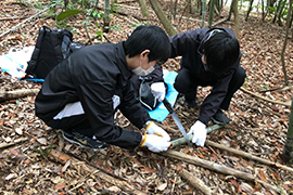 竹の切り出し作業