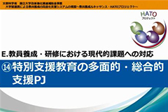 特別支援教育の多面的・総合的支援PJ