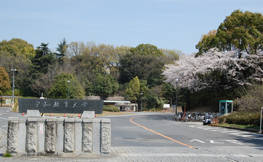 愛知 教育 大学