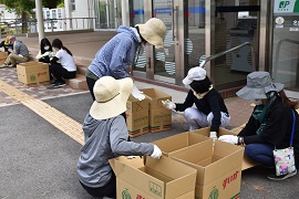 梅の実を選別する職員