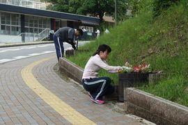 教育未来館の周りにインパチェンスを植栽