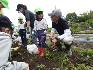 がくちょうせんせい、このいもちいさいよ？<br>ほだなー、もっかいほるか？