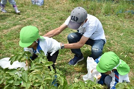 野田敦敬学長と一緒にジャガイモ掘り