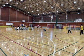 バドミントン決勝リーグの様子