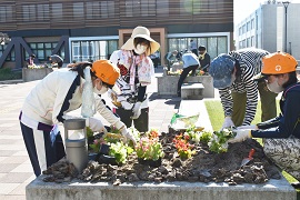 附属図書館前花壇の植栽の様子