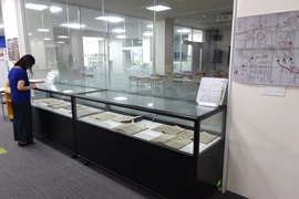 展示の様子