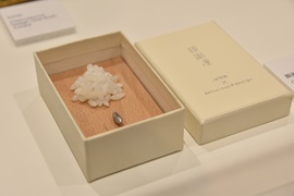 銀謝浬