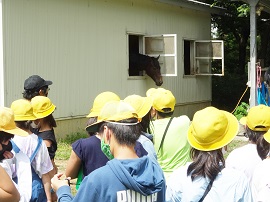 馬術部の学生から馬の説明を聞く子どもたち