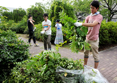 草や枝を集める学生たち