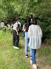 雑木林を歩く様子