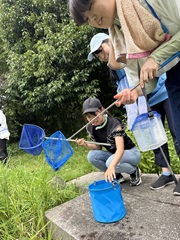 ヌマエビやオタマジャクシなどの水生生物を捕まえる様子