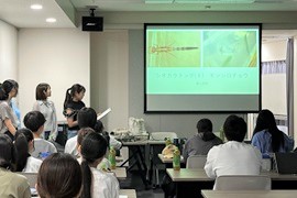 観察してわかったことを発表する様子