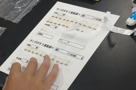 タンポポの種類でこんなに違いがあるんだ！
