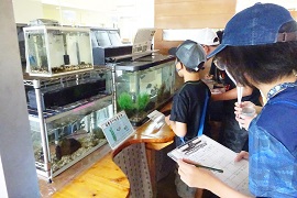 「若林たんけんビンゴ」で魚の名前を調べて書く小学生