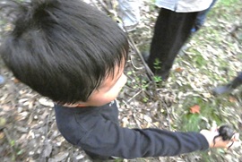 みてみて、じぶんでつかまえたカブトムシだよ♪