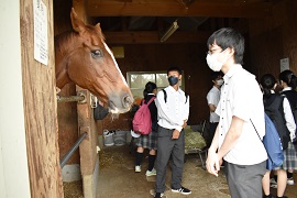 馬術部厩舎にて