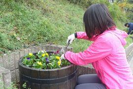 教育未来館周辺のプランターにビオラ植栽