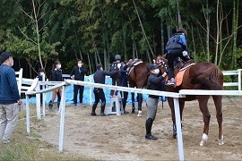 E：初めての乗馬体験にどきどき！