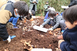 カブトムシの幼虫を探す子どもたち