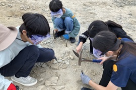 化石採集に挑戦