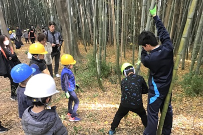 うおりゃ～！！竹をぶった切るぞ～！（切ってつなげるバンブーロード～第4章～）