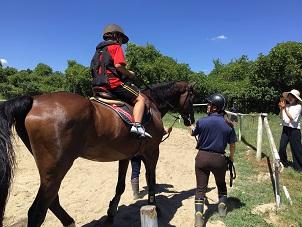 「愛教の馬に会いに行こう！」の一コマ