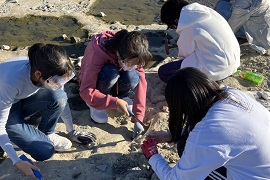 河原で化石採集