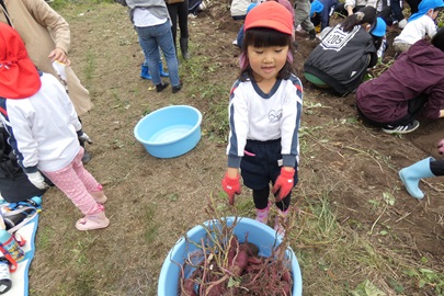 私はこんなにたくさんとったの。持って帰れるかな？
