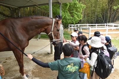 なでてもいいですか...?どきどき。
