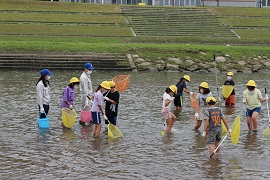 川に入って生き物調査とゴミ拾い