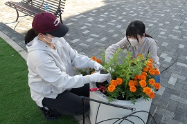 有志学生による植栽の様子