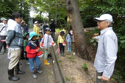 カブトムシはどこだろう？
