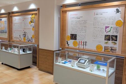 展示の様子