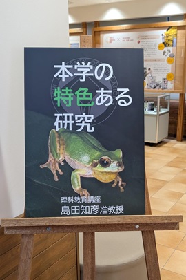 展示コーナー入口