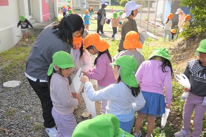 見てみて！赤ちゃんどんぐりたくさん見つけたよ！